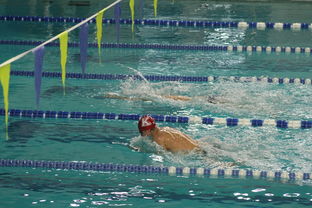 星空国际体育-世界游泳锦标赛连续夺金，实力证明中国，世界游泳锦标赛举办地